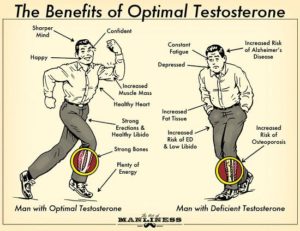 Testosterone Sd Matrix