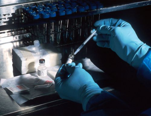 Tissue Regeneration: How Nature Inspires Miracles